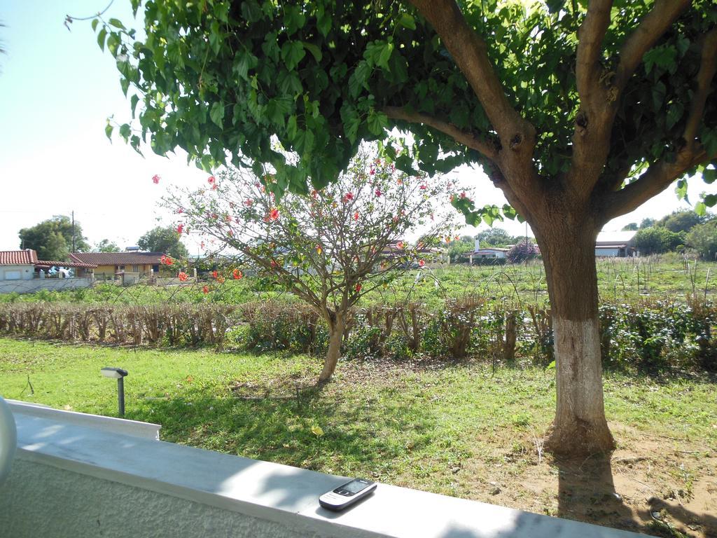 Helonata Apartments 阿尔库季岛 外观 照片
